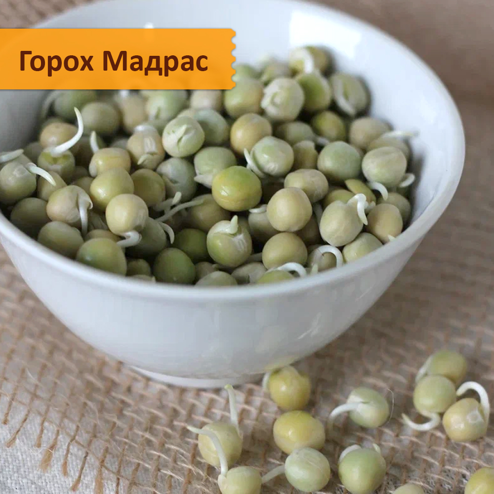 Набор семян микрозелени 30 урожаев