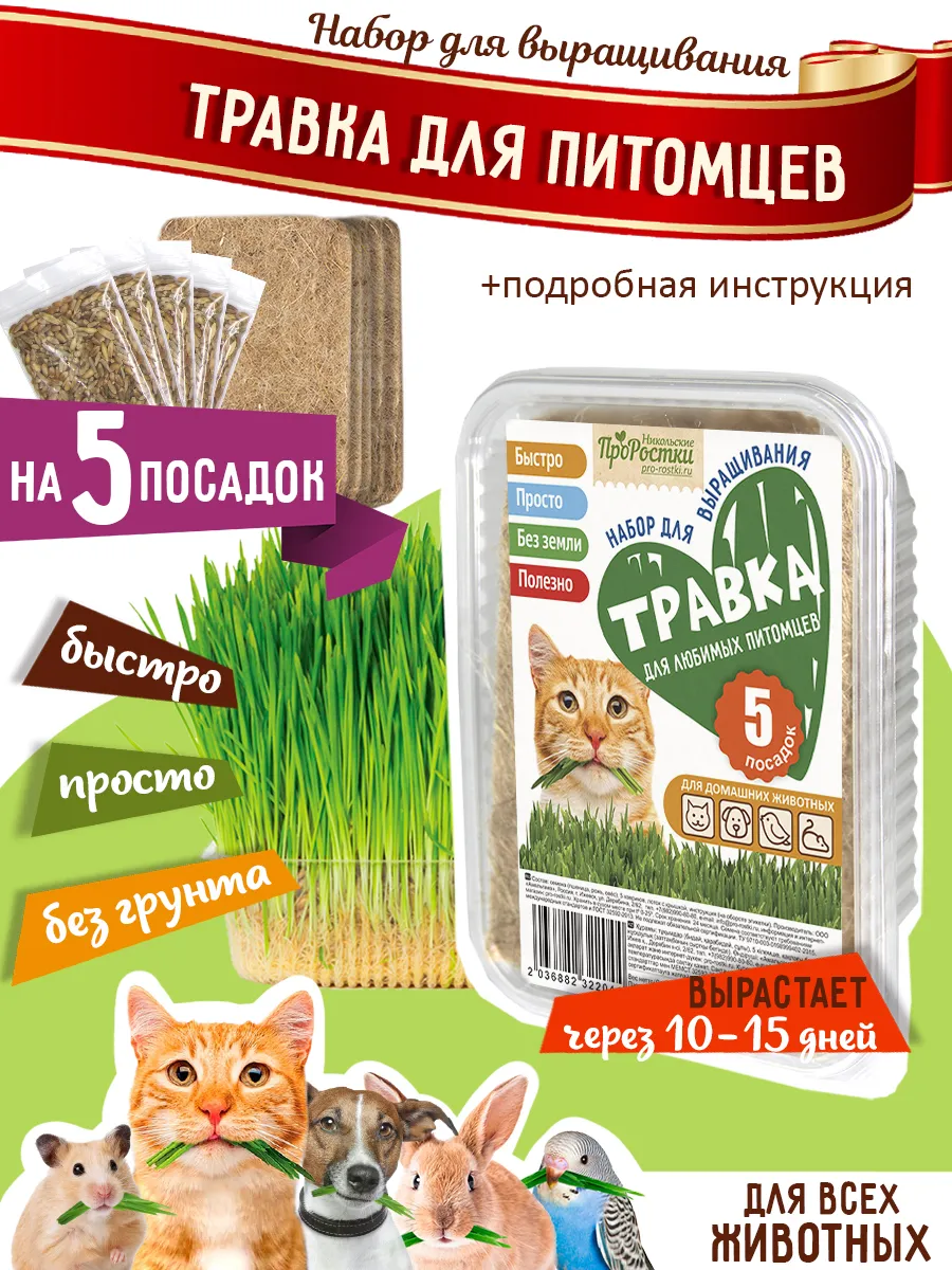 Набор для выращивания "Травка для любимого питомца"