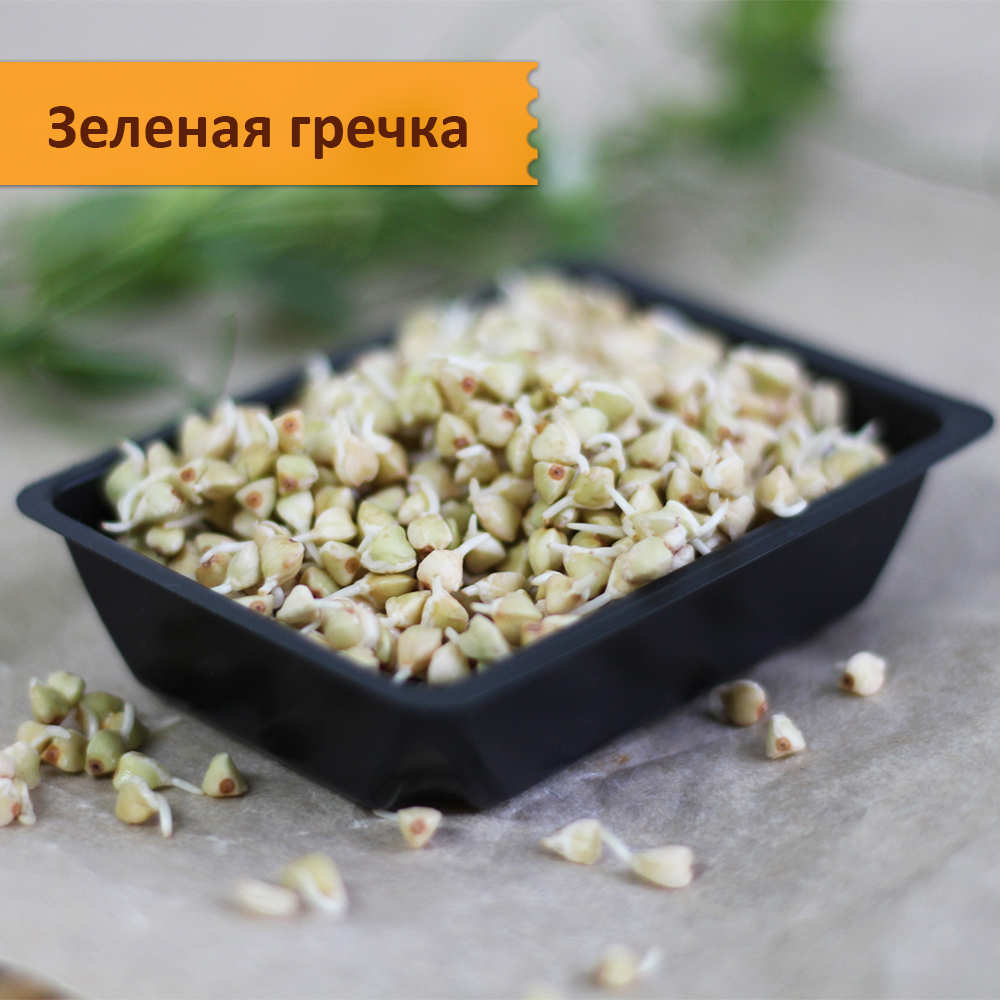 Набор "проростки и микрозелень в банке"