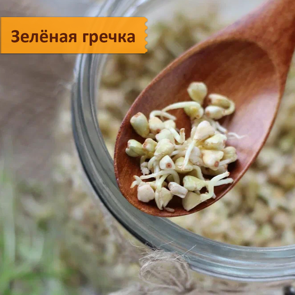Набор для проращивания "Проростки Макс: 10 видов"