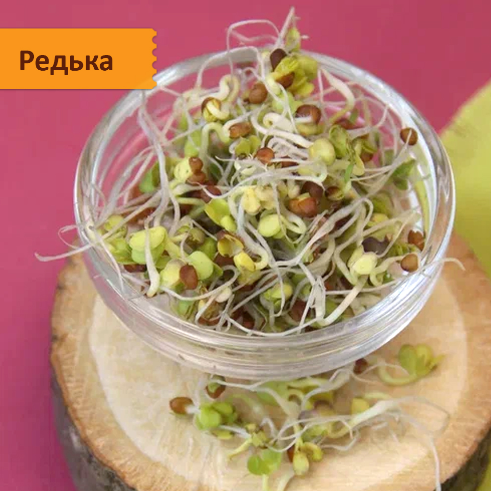 Набор семян микрозелени 30 урожаев