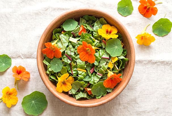 22-rezepty.jpg