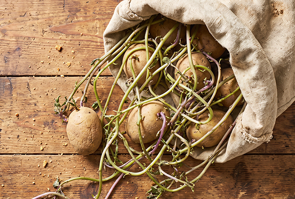 45-rezepty.jpg