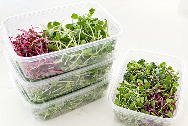 37-rezepty.jpg
