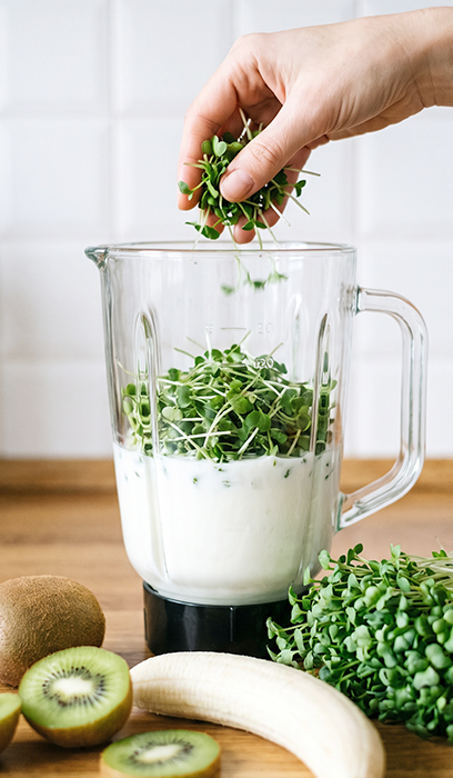 24-rezepty.jpg